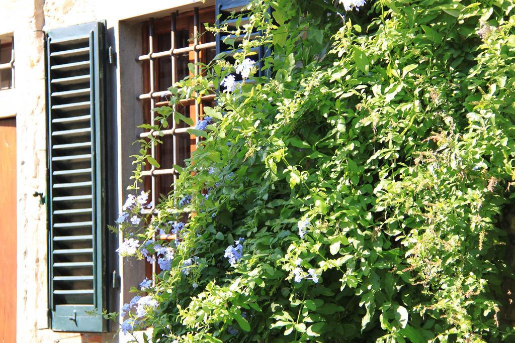 Antica Casa "Le Rondini" Bed & Breakfast Borgo a Buggiano Eksteriør bilde